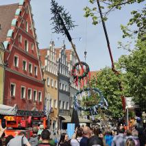 Aufbau Maibaum 2024   @ P. Ertl