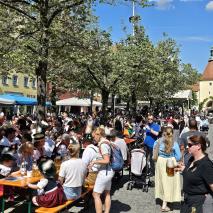 Aufstellung Maibaum 2025 @P. Ertl