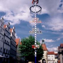Maibaum 2003