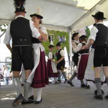 Maibaum 2007 GTV Almrausch