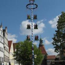 Maibaum 2011