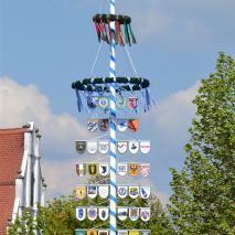 Maibaum 2013