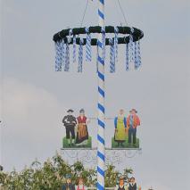Maibaum2014