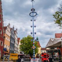 Maibaum 2017