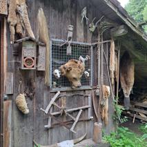 Tagesfahrt nach Furth im Wald am 06.08.2023