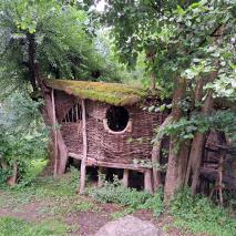 Tagesfahrt nach Furth im Wald am 06.08.2023