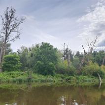 Tagesfahrt nach Freyburg an der Unstrut, Sektkellerei Rotkäppchen, Naumburg, Saale-Schifffahrt am 04.08.2024   @R. Hannes