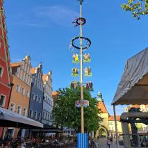 Aufbau Maibaum 2024   @ R. Hannes