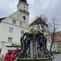 Aufbau Osterbrunnen 2023   @P. Ertl